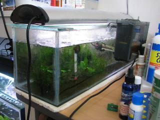 hospital tank